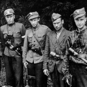 Польская армия и нацисты против СССР!