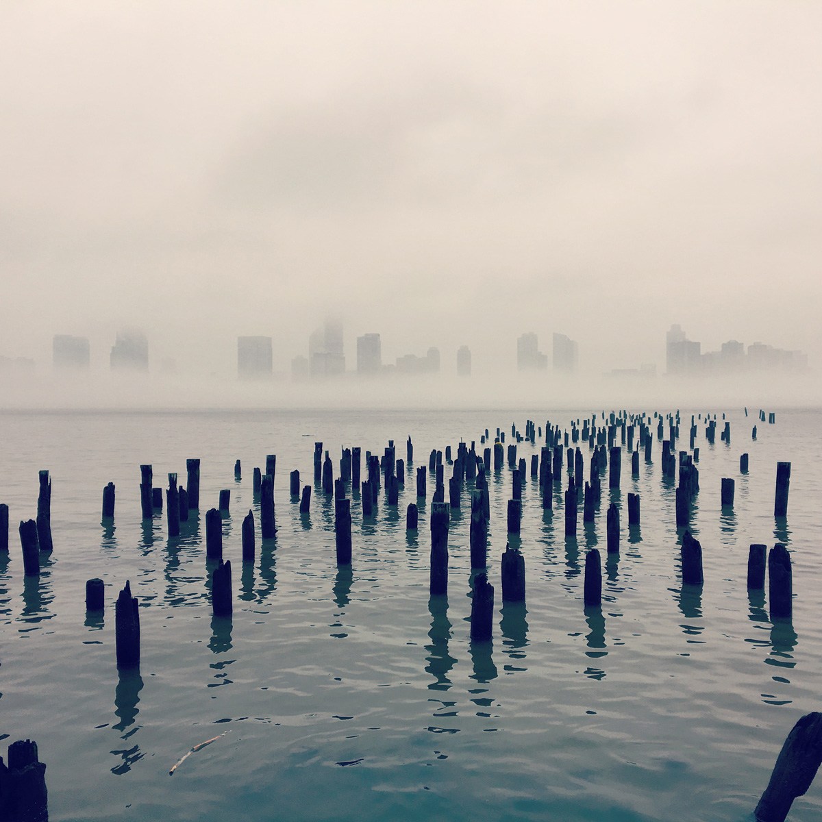 Photograph by Maria Popova