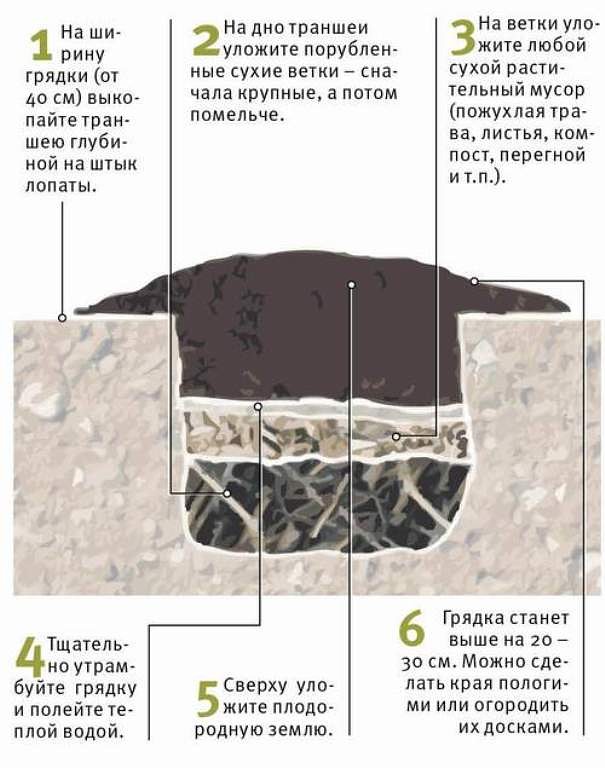 Как сделать в теплице высокие грядки