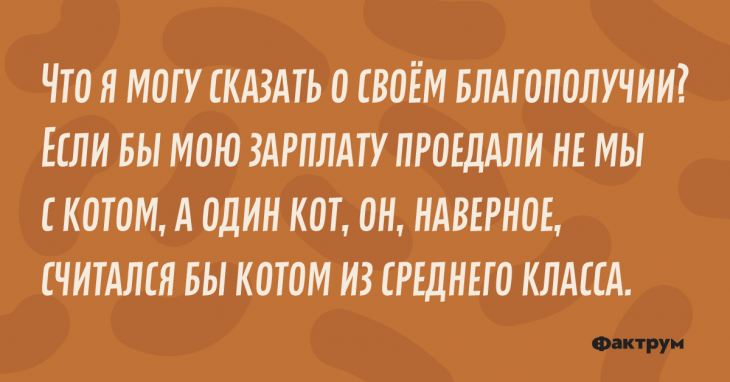 Что я могу сказать о своём благополучии? Если бы мою зарплату проедали не мы с котом, а один кот, он, наверное, считался бы котом из среднего класса Прикол про зарплату.