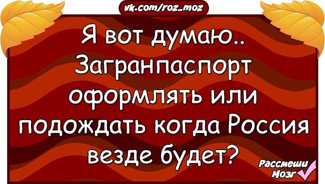 Анекдоты от «Рассмеши мозг» читай тихо — пусть все думают, что ты работаешь