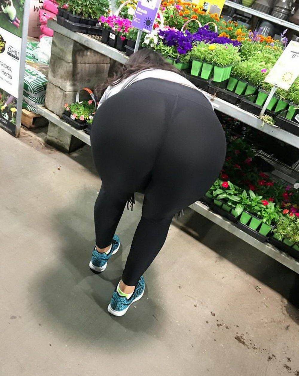 Thick tan ass fan pictures