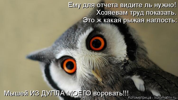 Самые смешные котоматрицы за прошедшую неделю Самые смешные котоматрицы за прошедшую неделю
