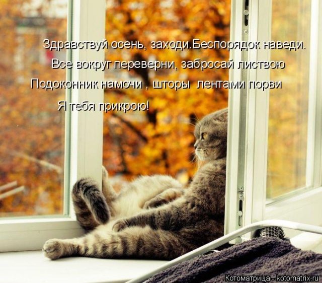 Самые смешные котоматрицы для хорошего настроения) Самые смешные котоматрицы для хорошего настроения)