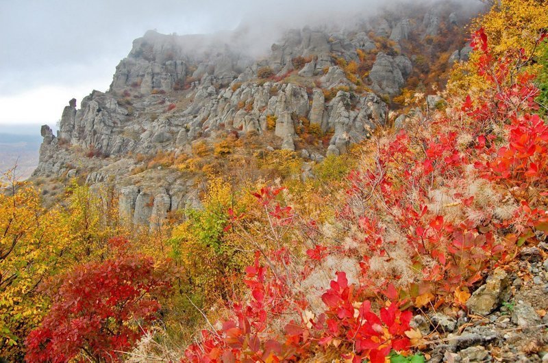 Немного фотографий из Крыма Немного фотографий из Крыма крым, природа., россия