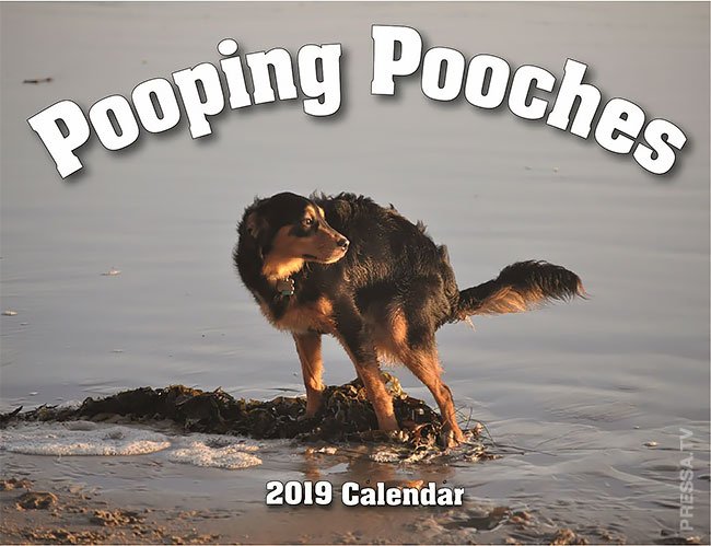 Не каждый поймет... Шутливый календарь для собачников на 2019 год