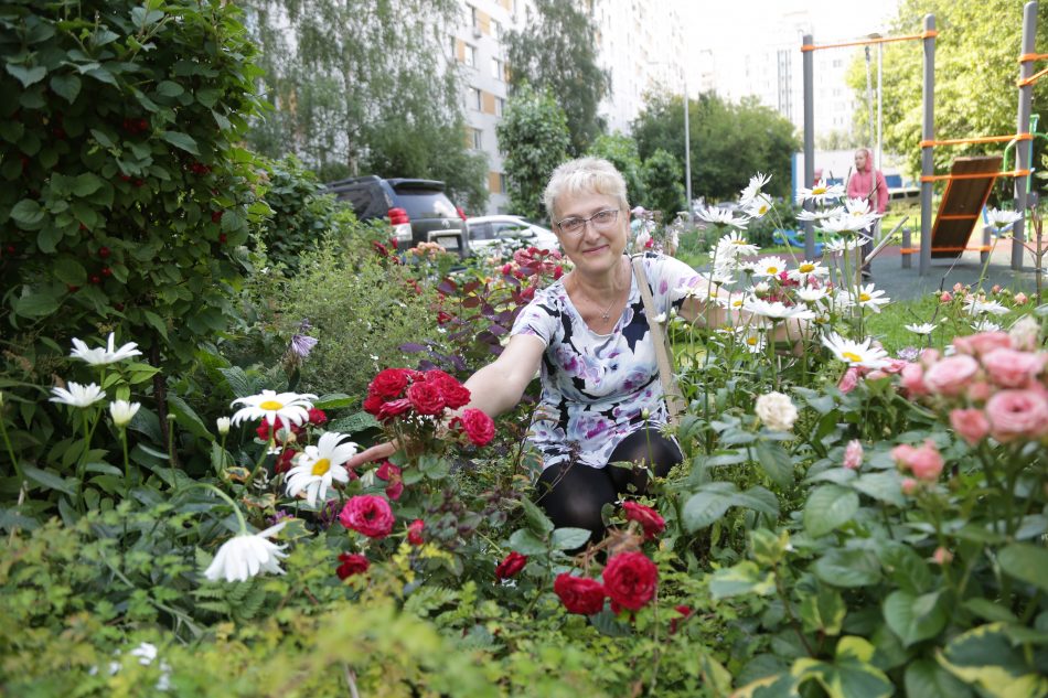 Двор на Бибиревской, 17/Артур Новосильцев