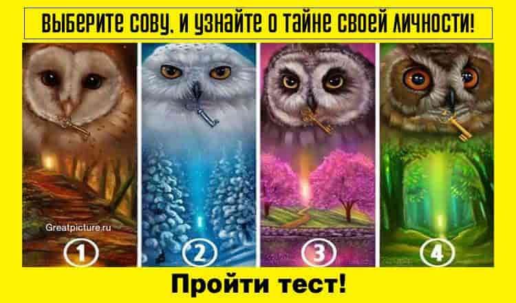 Тест. Выберите сову, и узнайте о тайне своей личности!