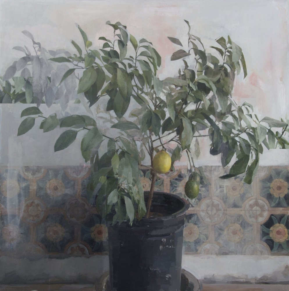 Zoey-Frank-Lemon-Tree.jpg Zoey-Frank-Lemon-Tree.jpg
