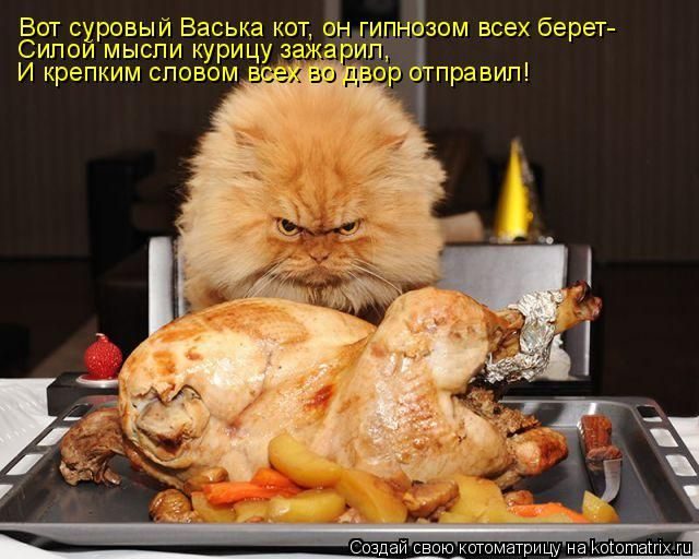 Смешные котоматрицы для хорошего настроения)