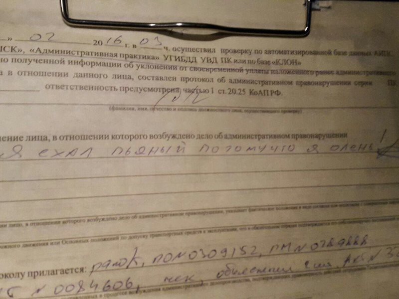 Инспектор ДПС может за короткий срок обучить письму даже животного Инспектор ДПС может за короткий срок обучить письму даже животного гибдд, дпс, прикол, юмор