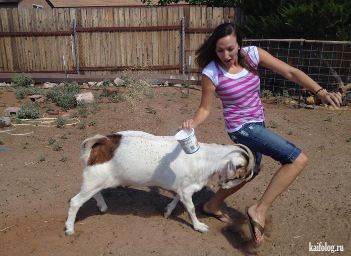 �������� 2014 ���� (75 ����)