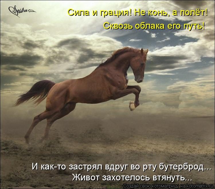 Самые смешные котоматрицы за прошедшую неделю Самые смешные котоматрицы за прошедшую неделю
