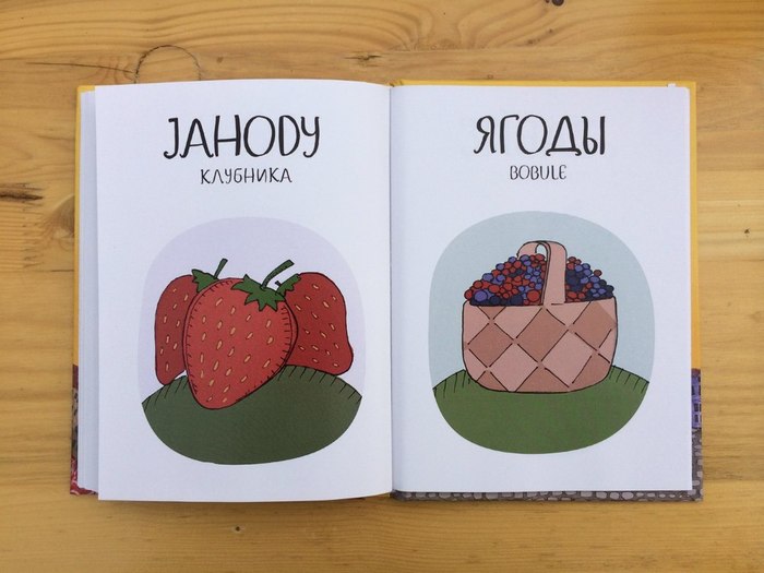 Самый смешной чешско-русский словарь с картинками Чешский язык, Русский язык, Похожие и разные, Длиннопост