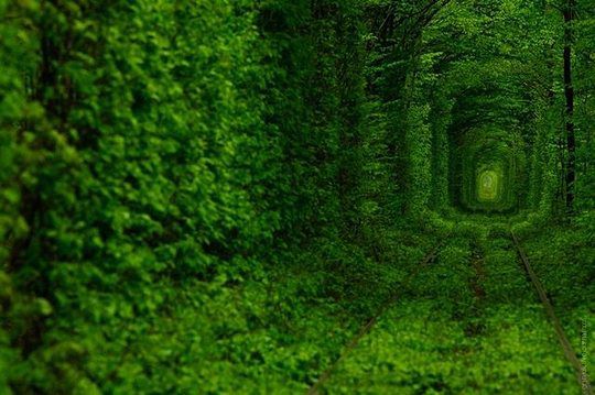 Чудеса света, о которых Вы не знали Чудеса света, о которых Вы не знали