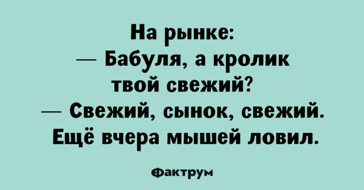 10 классных анекдотов, заставляющих смеяться до слёз 10 классных анекдотов, заставляющих смеяться до слёз