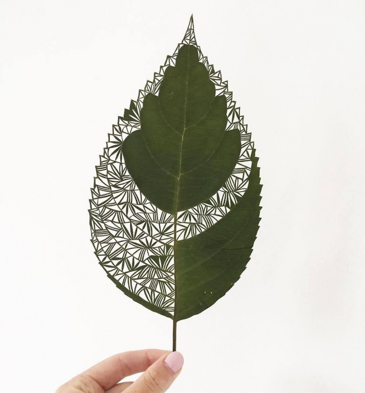 Nina Pearse