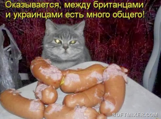 ebbaf11d32bf8543d9b4c72dbfe_prev ebbaf11d32bf8543d9b4c72dbfe_prev