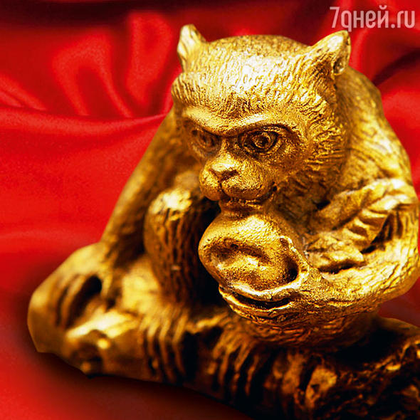 Год собаки: что он нам принесет? Год собаки: что он нам принесет?
