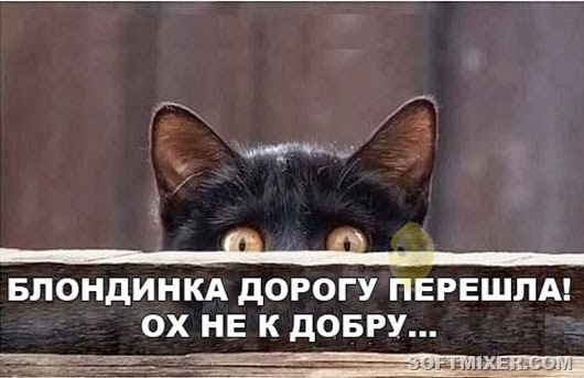 yumora-nemnogo-kartinki-smeshnye-kartinki-fotoprikoly_124688465 yumora-nemnogo-kartinki-smeshnye-kartinki-fotoprikoly_124688465