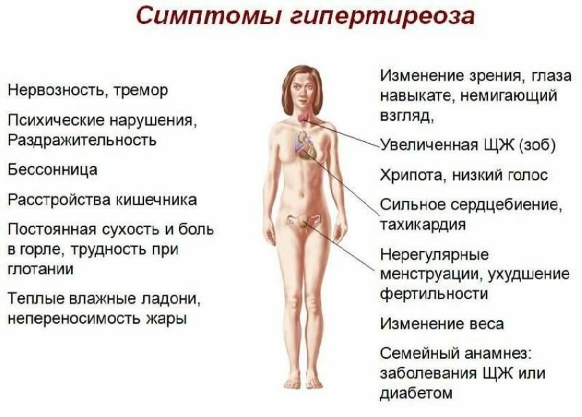Гормоны щитовидной железы влияют на весь организм. Простой тест дома