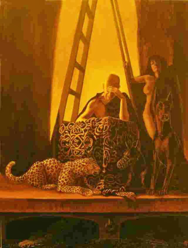 Сознательное заблуждение. Frank McNab Сознательное заблуждение. Frank McNab