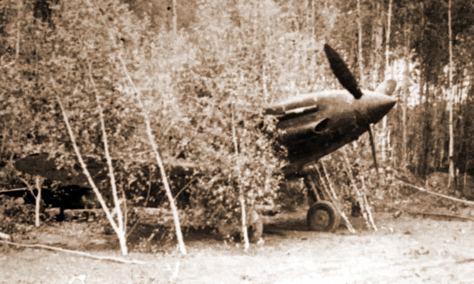 Истребитель МиГ-3 129-го ИАП, замаскированный на аэродроме, лето 1941 года. - «Чёрная смерть» против «Дивизии-призрака» | Военно-исторический портал Warspot.ru