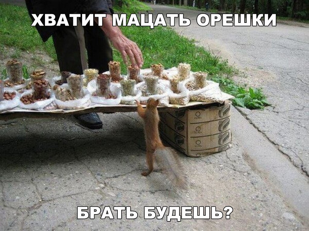 Смешные и свежие картинки с надписями до слез (12 фото) Смешные и свежие картинки с надписями до слез (12 фото)