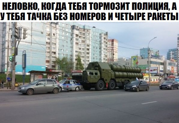 Нам всё врут! Человек произошел от медведя! Нам всё врут! Человек произошел от медведя!