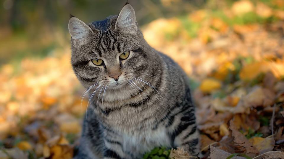 Фото Ивана Журавского.