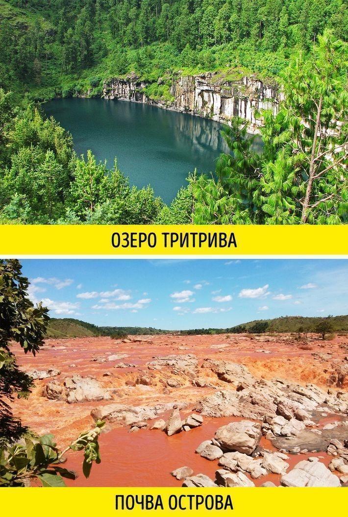 14 фактов в пользу того, что Мадагаскар — это отдельная вселенная 14 фактов в пользу того, что Мадагаскар — это отдельная вселенная
