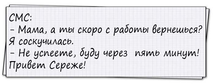 Вовочка приходит из школы Вовочка приходит из школы
