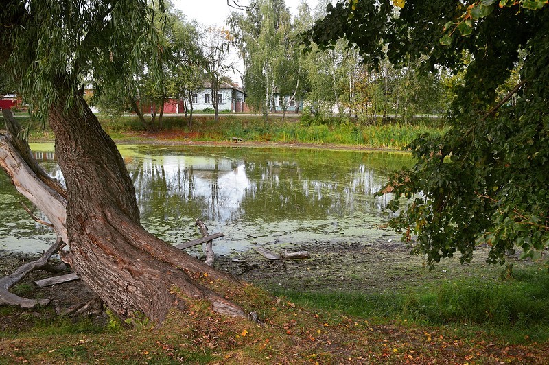 Село Чуровичи. Чем живёт Брянская область путешествия, факты, фото