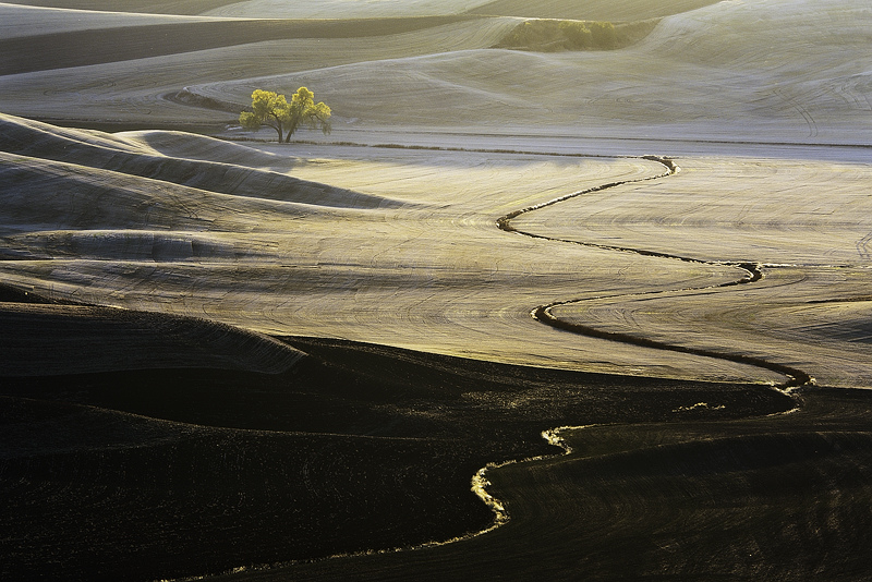Palouse 4   
