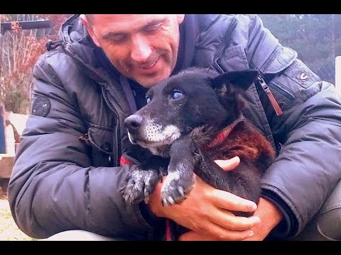 Долгих 30 дней слепой пёс просидел в узком колодце посреди поля и уже мысленно попрощался с жизнью Долгих 30 дней слепой пёс просидел в узком колодце посреди поля и уже мысленно попрощался с жизнью