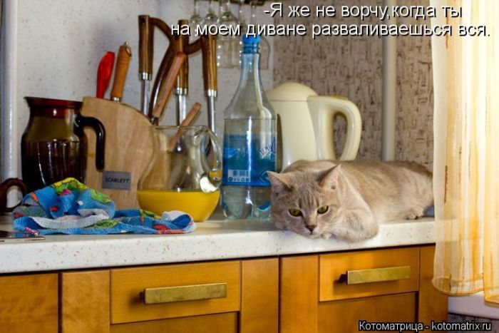 ����������� (49 ����)