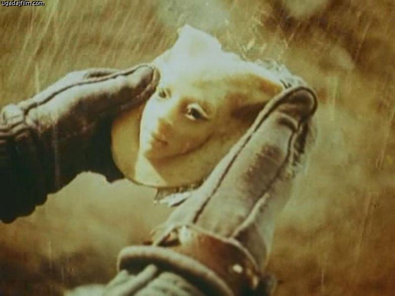 ��� �������� � ���� ������ ������� ��������, ����, ������