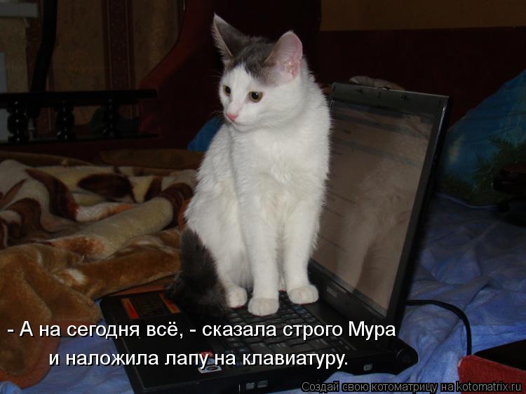 И снова котоматрица!!! И снова котоматрица!!!