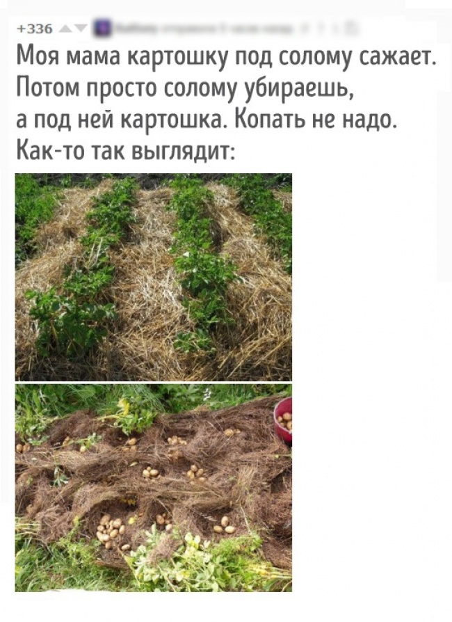 Женская логика в действии - делимся бесплатными советами Женская логика в действии - делимся бесплатными советами