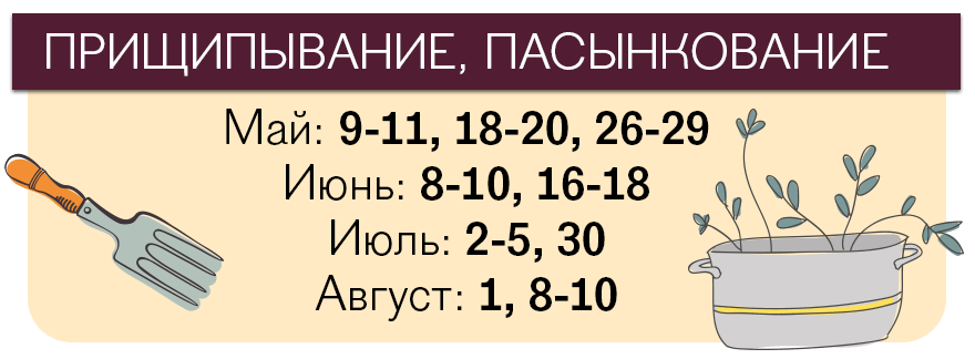 Лунный календарь посева помидоров на 2018 год Лунный календарь посева помидоров на 2018 год