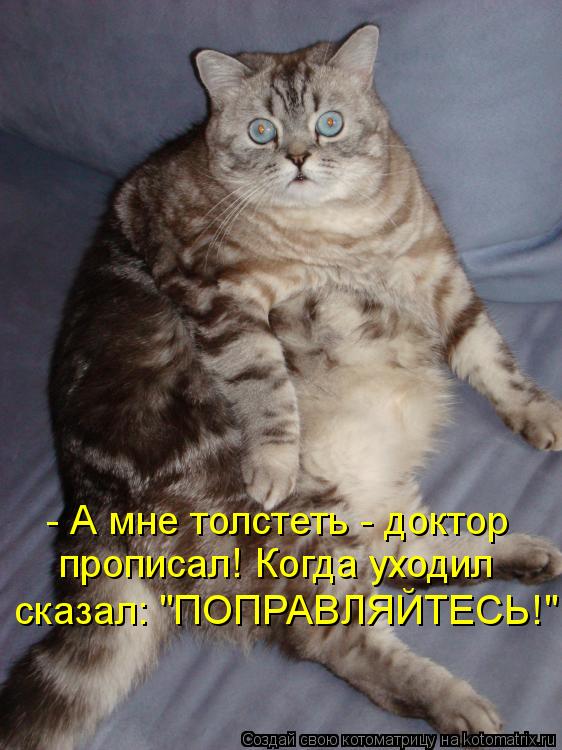 Ура!! Пятница - котоматрица!!! Ура!! Пятница - котоматрица!!!