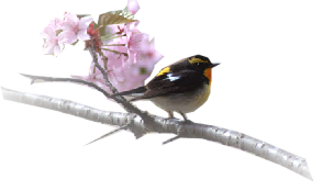 �� ������� �������...