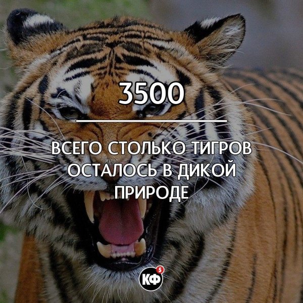 Краткие факты Краткие факты