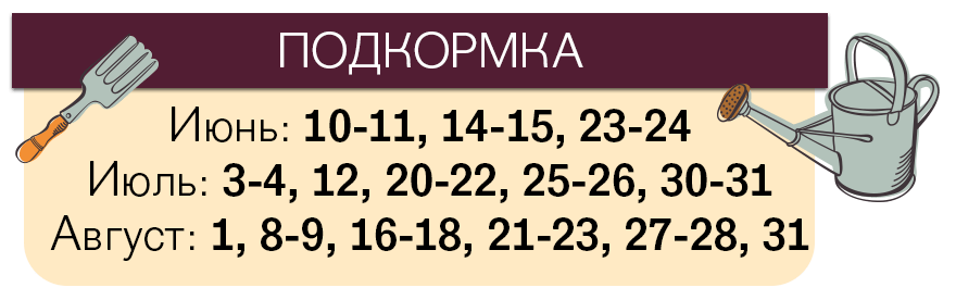 Лунный календарь посева помидоров на 2018 год Лунный календарь посева помидоров на 2018 год