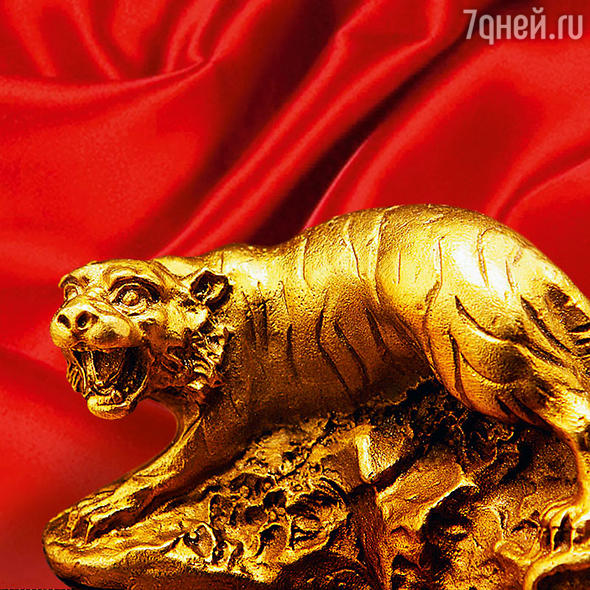 Год собаки: что он нам принесет? Год собаки: что он нам принесет?
