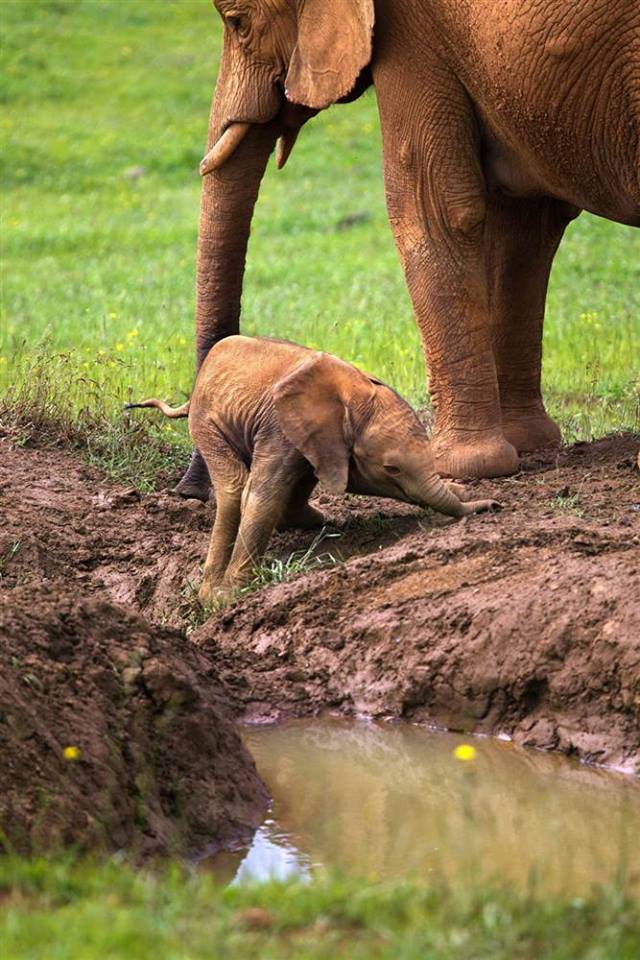 Мама всегда придет на помощь