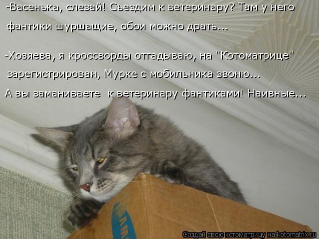 Лучшие котоматрицы за прошедшую неделю)) Лучшие котоматрицы за прошедшую неделю))
