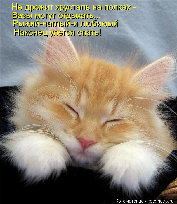 Котоматрица: Не дрожит хрусталь на полках -  Вазы могут отдыхать... Рыжий-наглый-и любимый Наконец улегся спать!