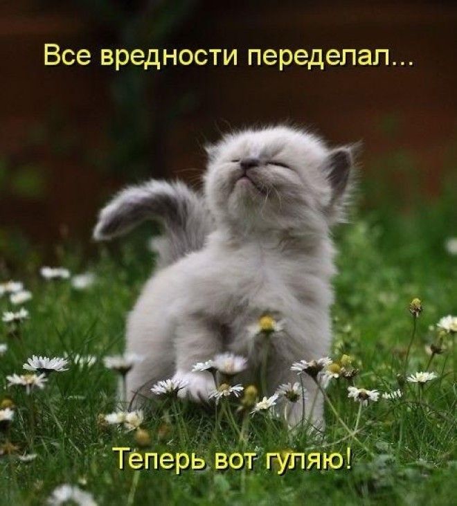 18 забавных приколов для отличного настроения. 18 забавных приколов для отличного настроения.