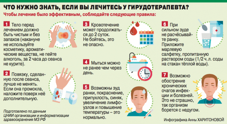 Лечение пиявками &mdash; мракобесие или эффективная терапия